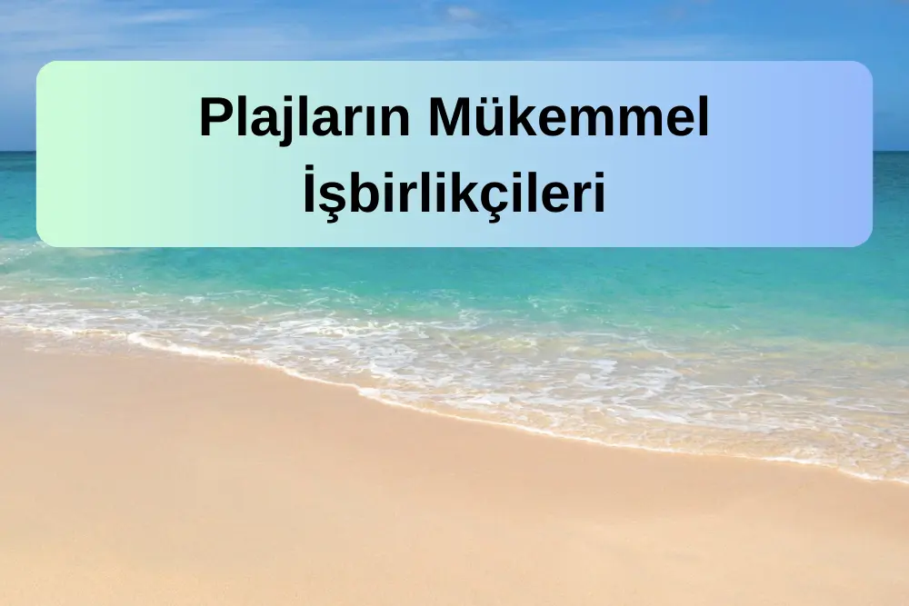 Kumsal Temizlik Makineleri: Plajların Mükemmel İşbirlikçileri