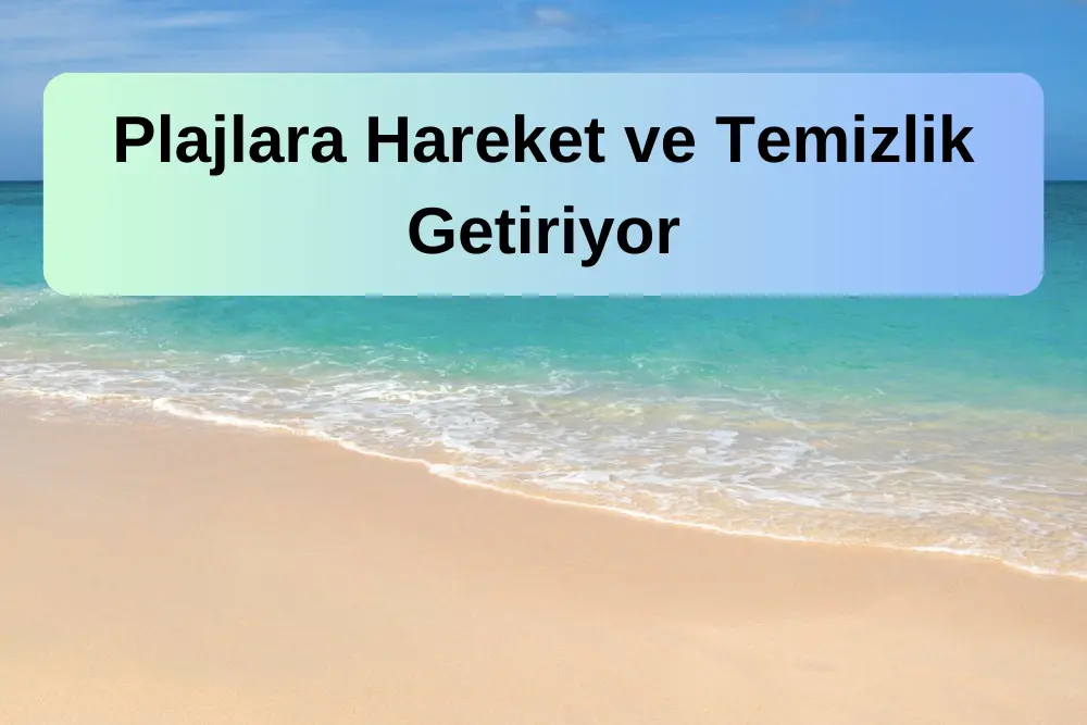 Kumsal Temizlik Makineleri: Plajlara Hareket ve Temizlik Getiriyor