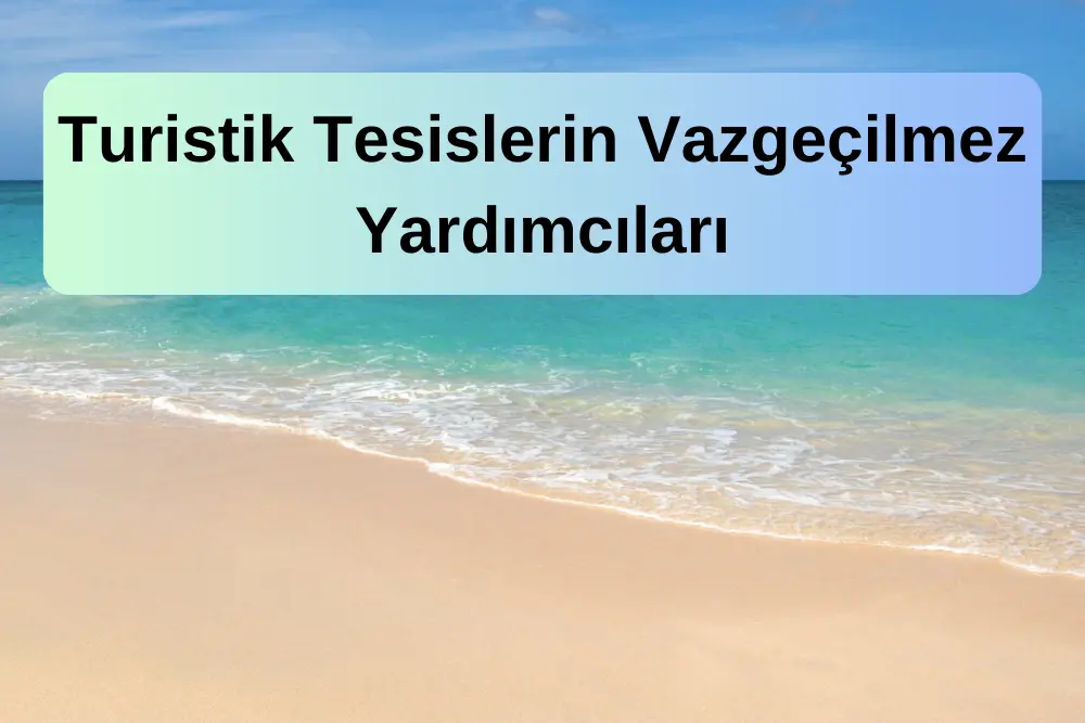 Kumsal Temizleme Makineleri: Turistik Tesislerin Vazgeçilmez Yardımcıları